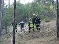 Foto: FF Markt Piesting 2012_03_25_waldbrand_marktpiesting_09