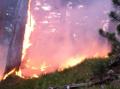 2012_06_20_waldbrand_katzberg2