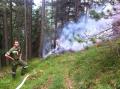 Mario Feigl 2012_06_20_waldbrand_katzberg3