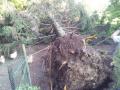 Foto: FF Theresienfeld  camerazoom-20120603182940628