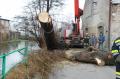 ff_liwoe_28122012_6 ff_liwoe_28122012_6