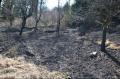 waldbrand_fordert_5_feuerwehren_in_wllersdorf_006