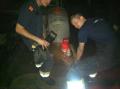 Foto: BFKDO 21 20130608_khd_einsatz_0800_004
