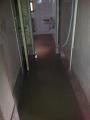 Foto: BFKDO 21 20130608_khd_einsatz_1200_003