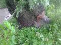 20130624_unwettereinsatz_neusiedl_002