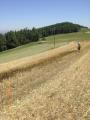 20130802_ffschla_01