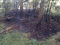 Foto: FF Muthmannsdorf 20130805_ffmuth_waldbrand1