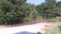 20130806_waldbrand_katzelsdorf_004