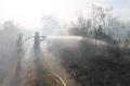 Foto: FF Wiener Neustadt 20130808_waldbrand_weikersdoerf_ff_wrn_144