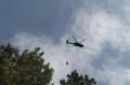 Foto: FF Wiener Neustadt 20130808_waldbrand_weikersdoerf_ff_wrn_163