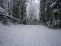 2013_03_31_ffg_schnee_03 2013_03_31_ffg_schnee_03