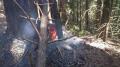 Foto: Feuerwehr 2013_08_05_waldbrand_gutenstein_ofenbach_2