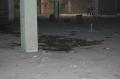 brand270620133