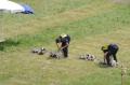 Foto: FF Frohsdorf dsc_0161