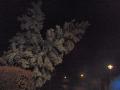 p1010007_-_kopie