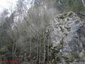Foto: FF Gutenstein 20130316_te_gutenstein_006