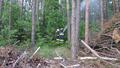 Foto: FF Aigen 2014-05-02_ua-uebung_21