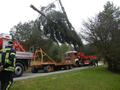 Foto: Martin Schaffrian 2014-11-22_christbaum_orf_noe_07