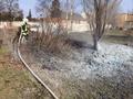 20140309_be_ebenfurth