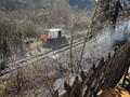 Foto: FF Ober-Piesting 20140311_wald_bb02