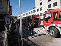 Foto: FF Ober-Piesting 20140311_wald_bb05