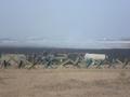 20140313_brand_awrt_2 20140313_brand_awrt_2