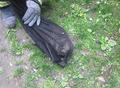 20140422_tierrettung_wrn_003