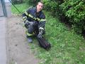 20140422_tierrettung_wrn_004