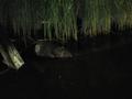 20140504_te_wrn_005