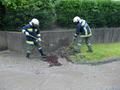 20140516_ffmuth_01