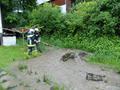 20140516_ffmuth_02