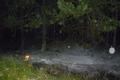 20140609_b1_sektor_f_1 20140609_b1_sektor_f_1