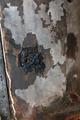 20140624_brand_katzelsdorf_005