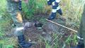 Foto: FF Eichbüchl 20140704_tierrettung_eichbuechl_001