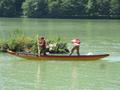 20140719_bwdlb_amstetten_006