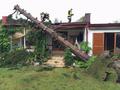 20140727_te_hornstein_002