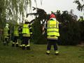Foto: FF-Ebenfurth 20140727_te_hornstein_008