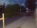 20140814_sturmschaden_fischau_1