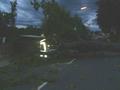 20140814_sturmschaden_fischau_2