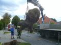 20140814_sturmschaden_fischau_4