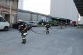 Foto: Eventreport.at 20140822_aple_lichtenwoerth_005