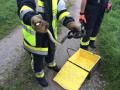 20140917_tierrettung_ebenfurth_1_001