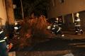 20141104_sturmeinsatz_wrn_009