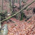 20141119_ffwo_bs4