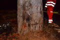 Fots: Einsatzdoku.at 20141120_vu_gutenstein_025