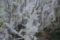 Foto: Einsatzdoku.at 20141202_hohe_wand_edoku_021