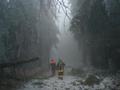 20141205_hohe_wand_meiersdorf_009