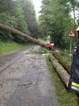 Foto: VM Lukas Brodtrager 2014_07_23_sturmschaden_feichtenbach_30_4