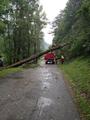 Foto: VM Lukas Brodtrager 2014_07_23_sturmschaden_feichtenbach_30_5