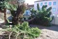 FF Wiener Neustadt 30140316_umgestuerzter_baum_1